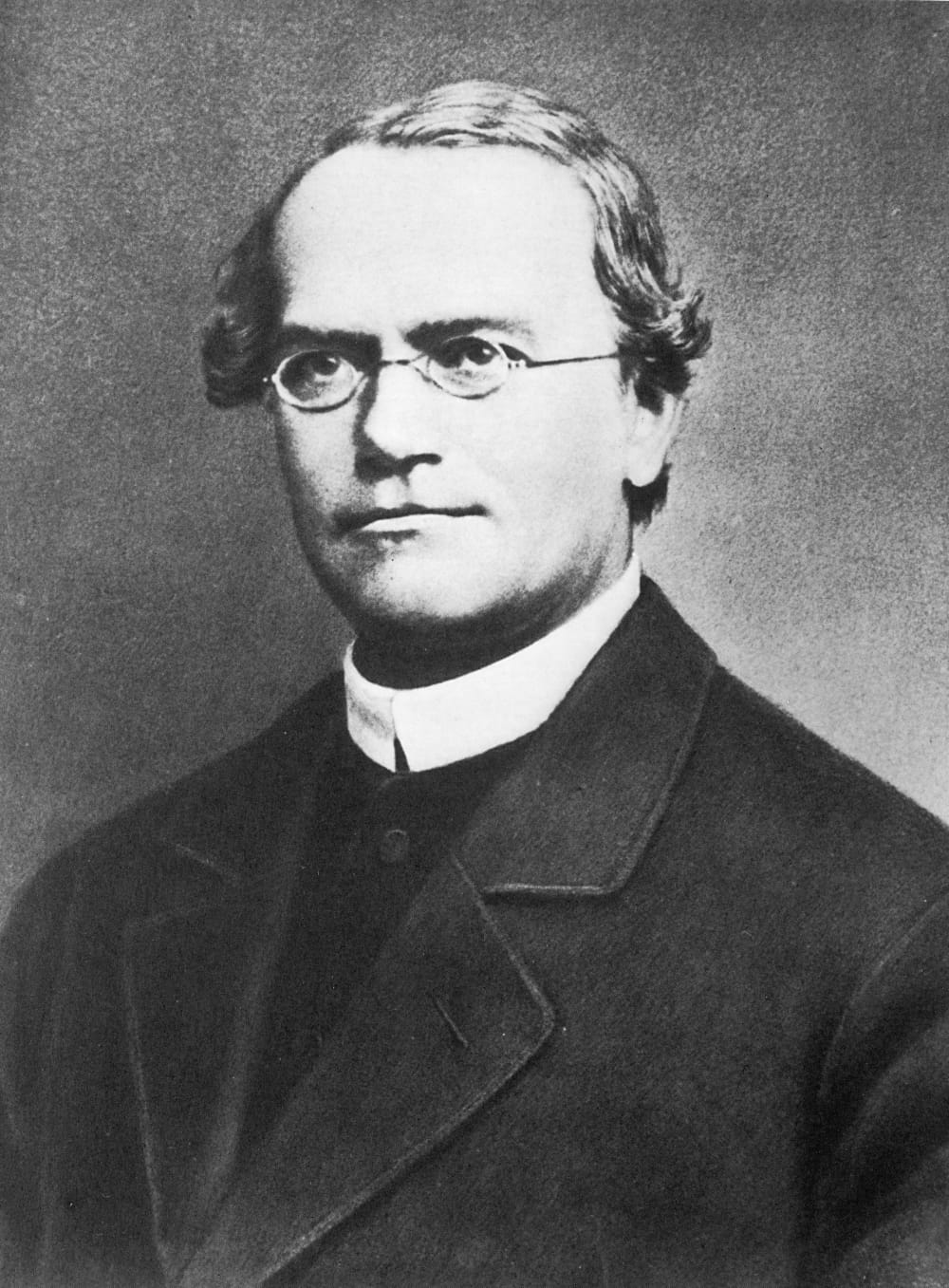 Old black-and-white portrait photograph of Gregor Mendel, a man with round glasses and a priest's white collar