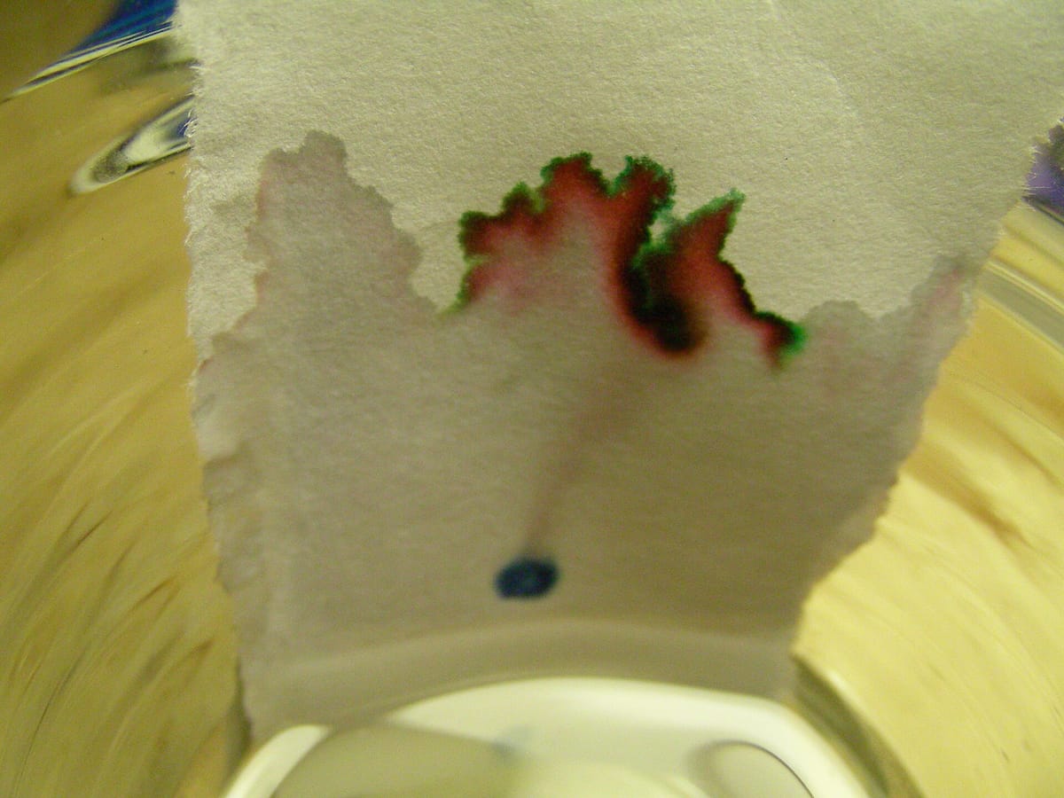 A strip of paper dipped in water; a blue ink dot near the bottom has spread upward into red and green bands