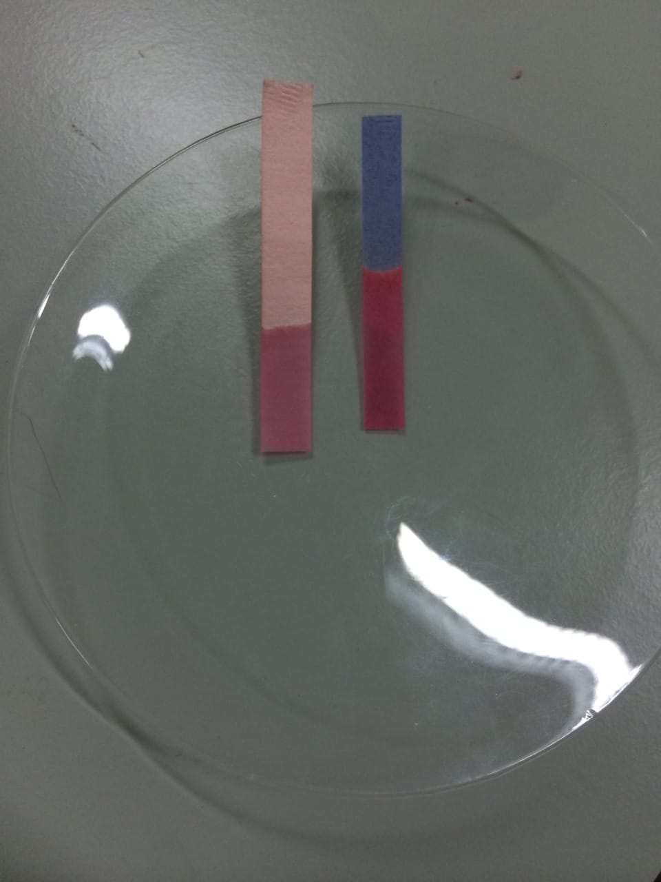 A red strip and a blue strip of litmus paper on a glass dish; the lower half of both strips, dipped in acid, is red