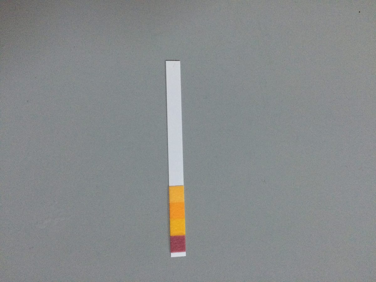 A white test strip with four small coloured pads at the bottom showing orange, yellow and dark red