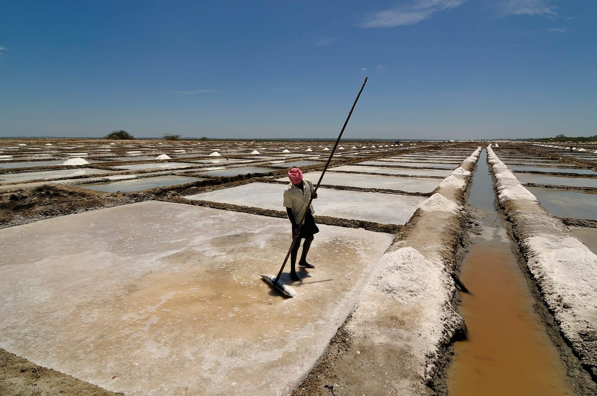 Rows of shallow square salt pans with white salt crust and small heaps, and a worker raking salt with a long wooden pusher