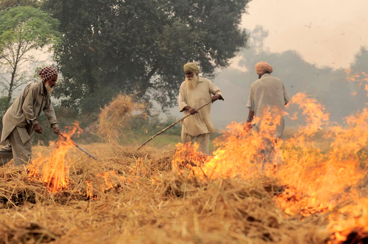 Three farmers with long sticks spreading burning paddy straw in a harvested field, with smoke in the air
