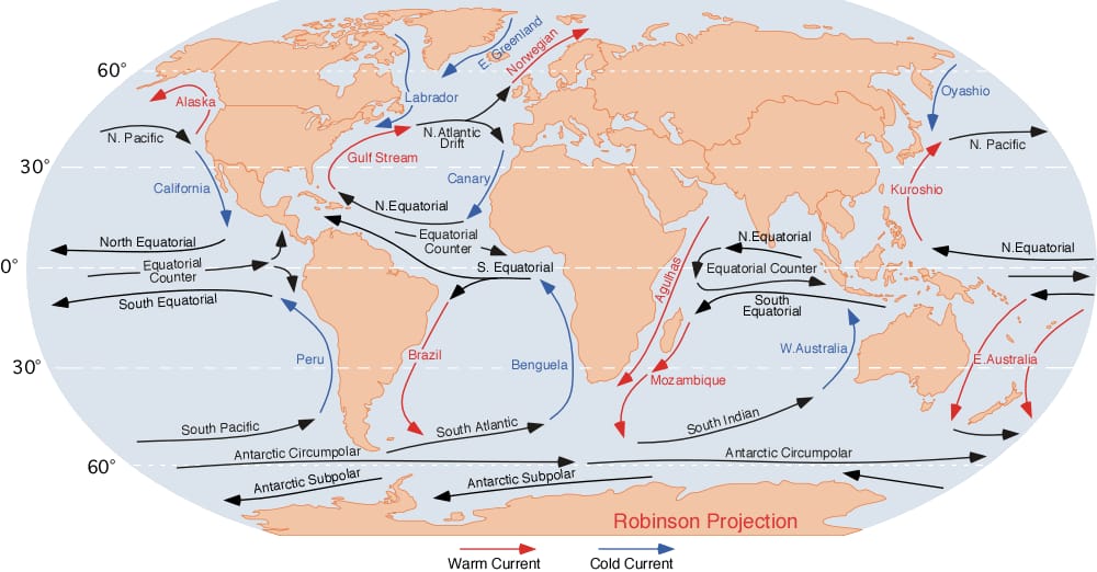 World map with red arrows for warm currents and blue arrows for cold currents, including the Gulf Stream, Labrador, Kuroshio, Oyashio, Peru and Benguela currents