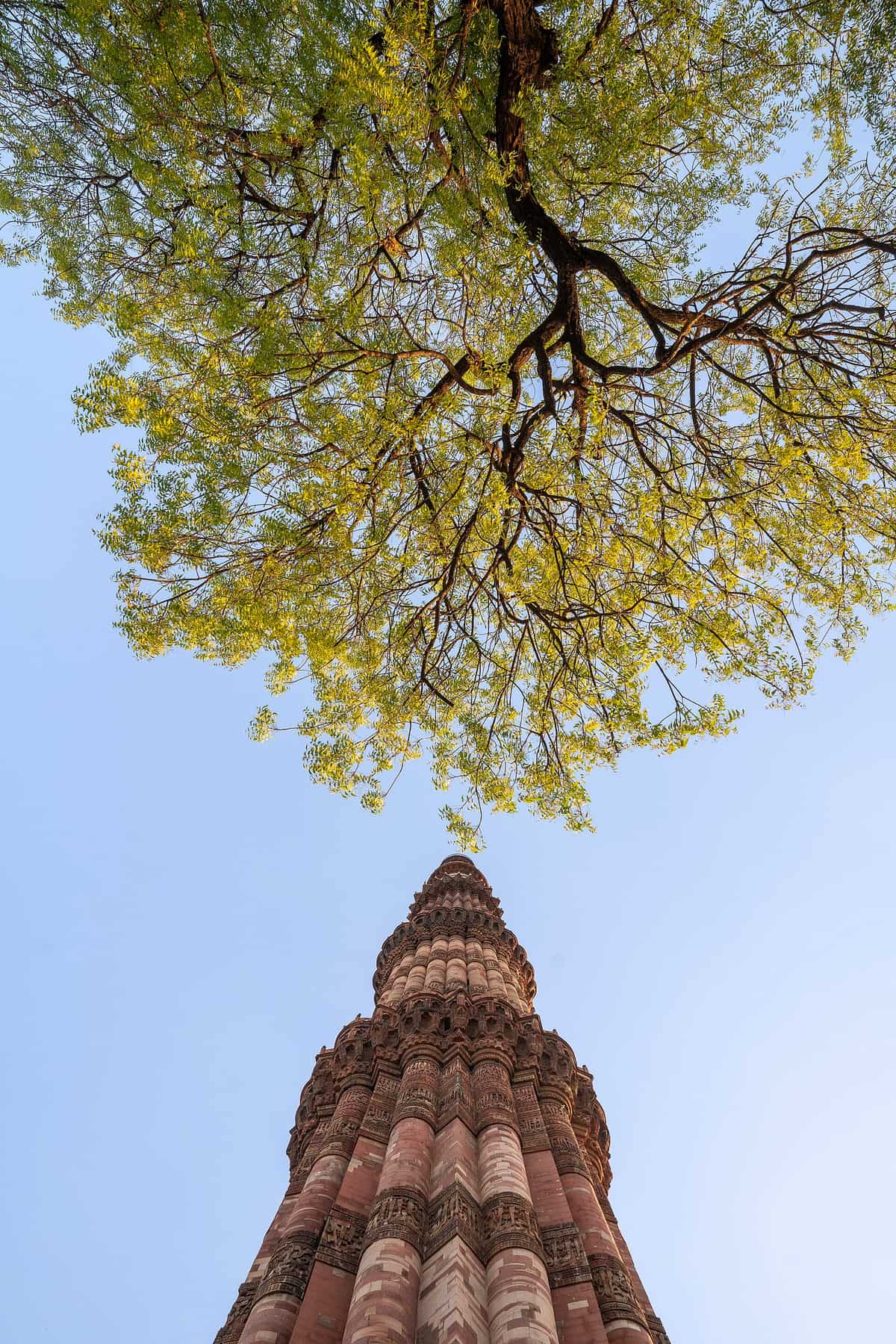 The Qutb Minar, Delhi