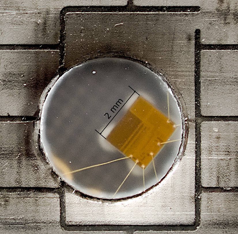 Close-up of the gold contact chip from a bank card