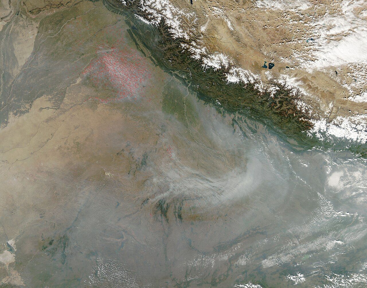 NASA satellite image of north India with many red dots of crop fires over Punjab and a grey smoke haze
