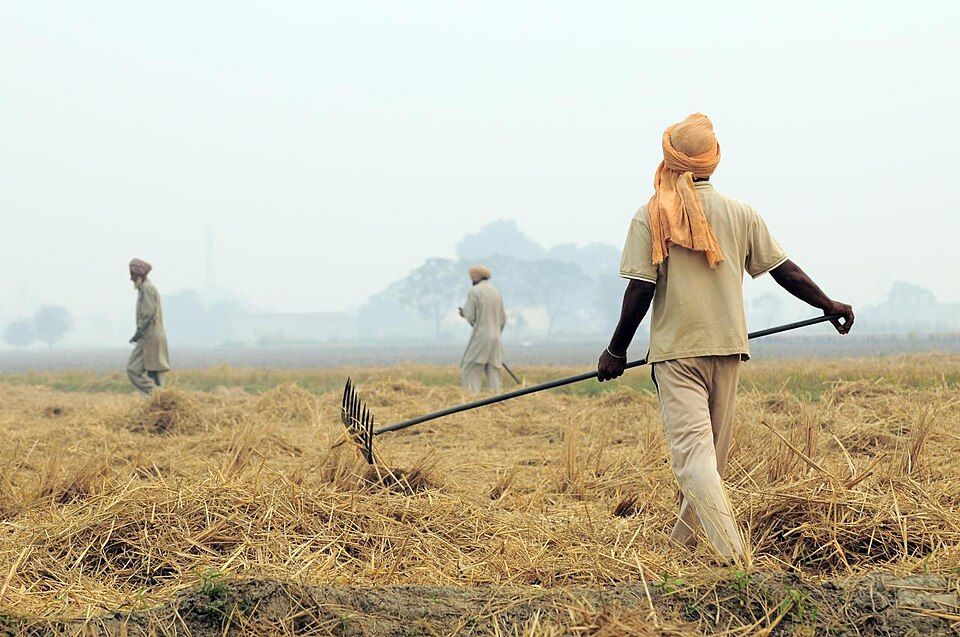 Farm workers raking dry paddy straw in a hazy field