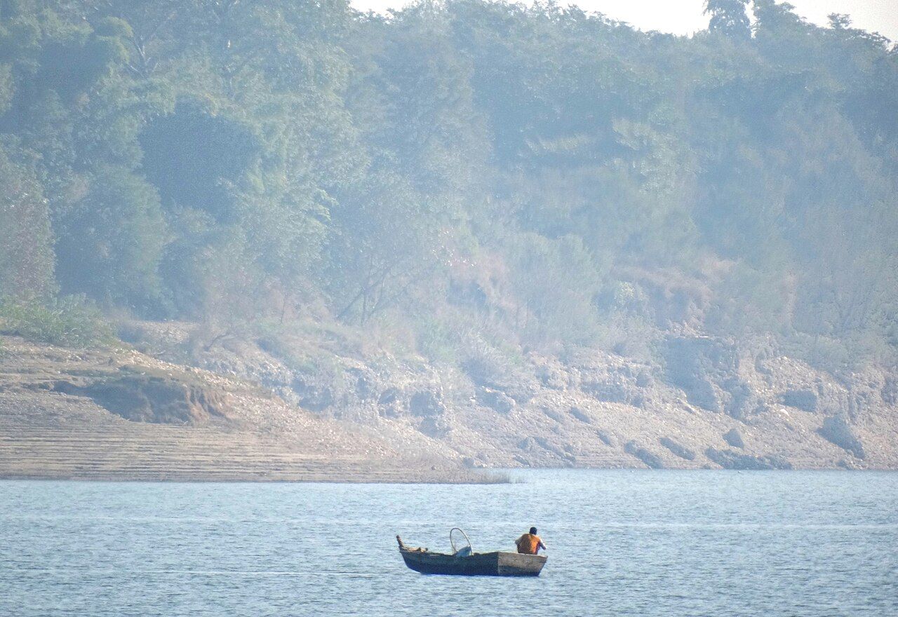A lone fisherman in a small boat on the misty lake of the Pong Dam, with a wooded bank behind