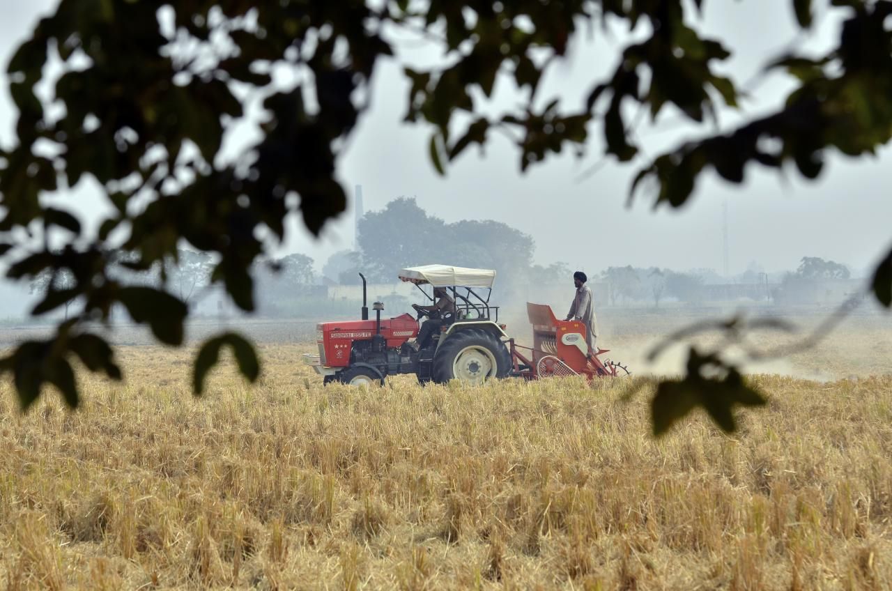 A farmer drives a tractor and seeder across a field of paddy stubble