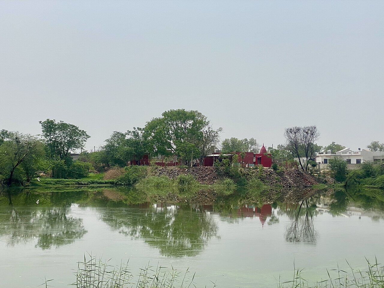 A village pond with trees and houses at Saharna, Mansa district